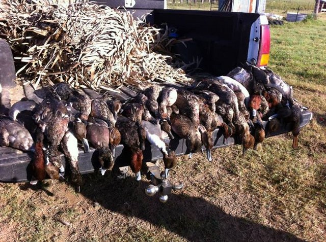 Waterfowl Hunting Memberships in Texas